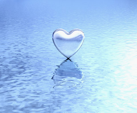 Trust and Openness