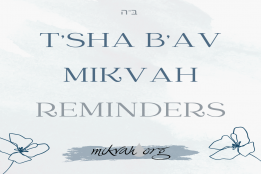 Mikvah on TSha BAv