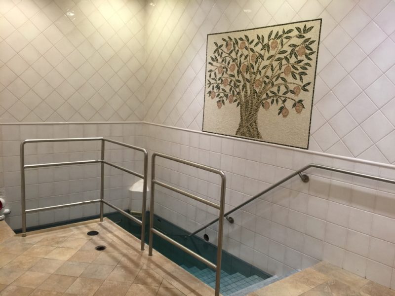 Teichman Mikvah — photo 5 of 5